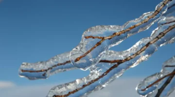 تفاصيل جديدة من الخبير الحصيني عن مربعانية 2025: درجات حرارة تحت الصفر وتغيرات مناخية